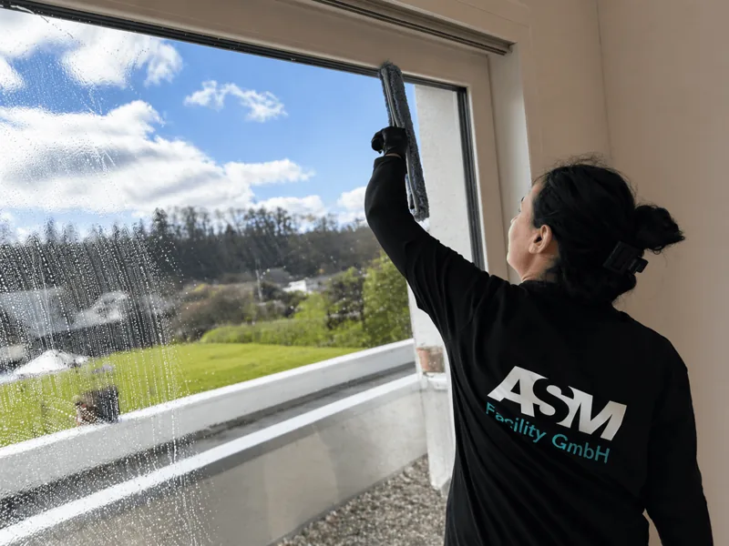 Fensterreinigung bei ASM Facility
